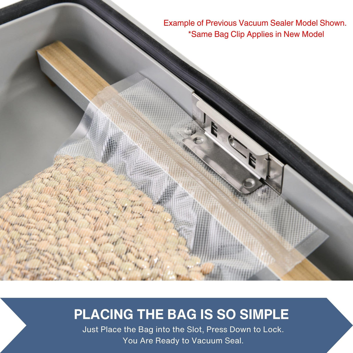 Pro-line VS-CHD2 vacuum chamber sealer cryovac machine show the vacuum chamber bag clip that holds the bag in place before vacuum sealing