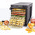 Sedona Express Food Dehydrator with 11 Stainless Steel Trays Food Dehydrator Sedona